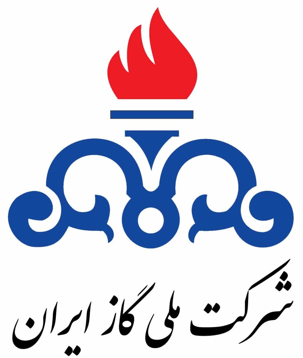 NIGC Logo 2.jpg